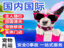 河东空运代理国际宠物托运 【国